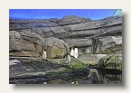 berlin_zoo_02