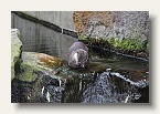 berlin_zoo_03