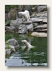 berlin_zoo_06