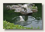 berlin_zoo_07