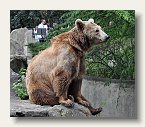 berlin_zoo_11
