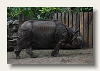 berlin_zoo_14
