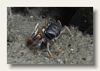berlin_zoo_21