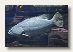 berlin_zoo_23