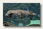 berlin_zoo_25