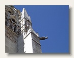 burgos23